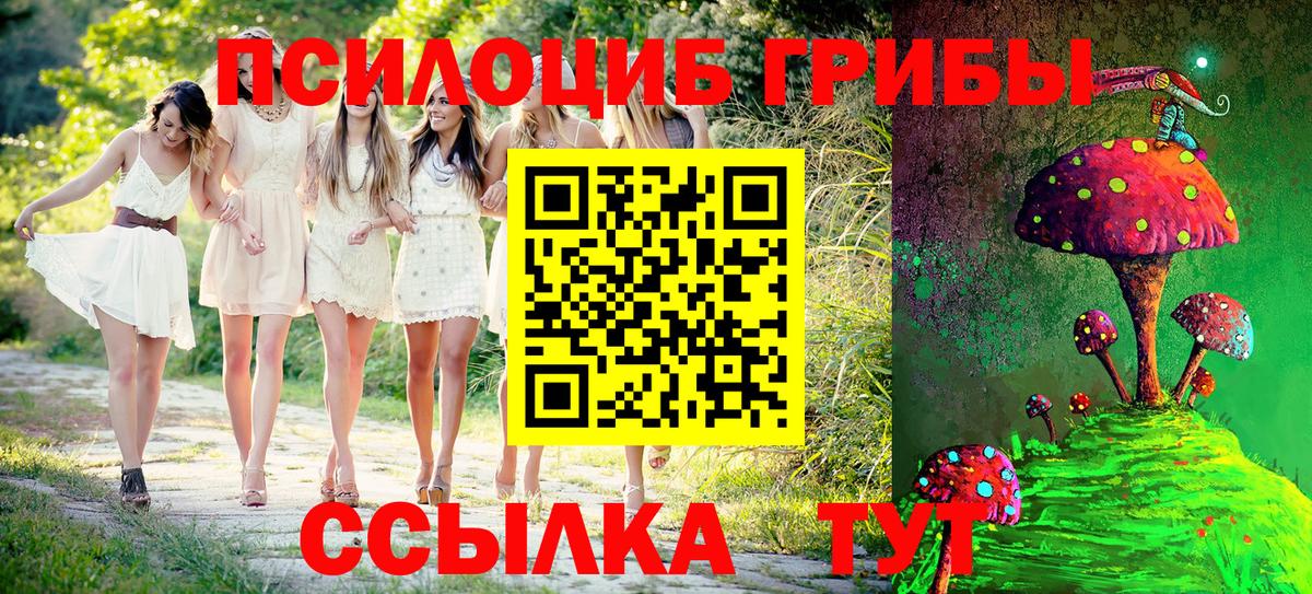 Псилоцибиновые грибы мицелий  купить   Усть-Джегута  Вход с VPN 