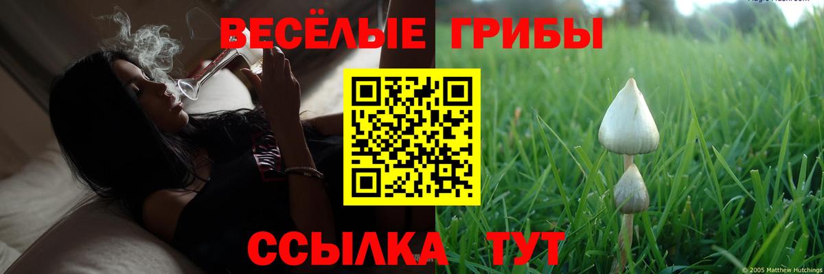 Метамфетамин  Гашиш  ГАШИШ  МЕФ   ЭКСТАЗИ  Вход с VPN  Мефедрон  Усть-Джегута  МДМА  КОКАИН  Alpha-PVP СОЛЬ кристаллы  ТГК 